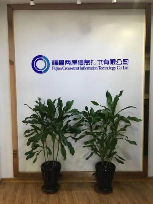 深耕軟件開發，賦能兩岸互聯 福建兩岸信息技術的發展之路